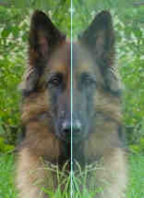 gallery/iriniper-students-A1_students-symmetry_images-choice8